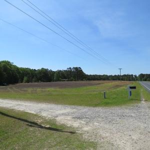 Photo of UNDER CONTRACT!  91 Acres of Farm and Timber Land For Sale in Robeson County NC!