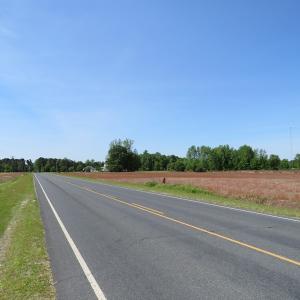 Photo of UNDER CONTRACT!  91 Acres of Farm and Timber Land For Sale in Robeson County NC!