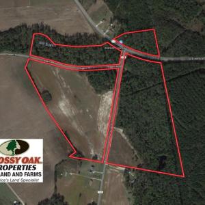 Photo of UNDER CONTRACT!  91 Acres of Farm and Timber Land For Sale in Robeson County NC!
