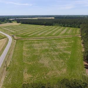 Photo of UNDER CONTRACT!  33 Acres of Hunting and Timber Land For Sale in Wilson County NC!