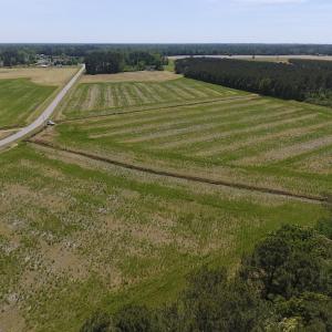 Photo of UNDER CONTRACT!  33 Acres of Hunting and Timber Land For Sale in Wilson County NC!