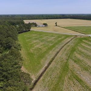 Photo of UNDER CONTRACT!  33 Acres of Hunting and Timber Land For Sale in Wilson County NC!