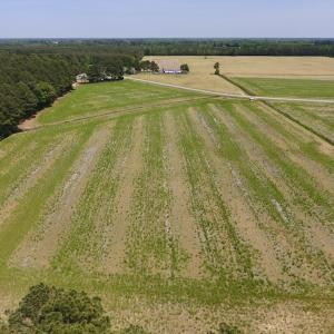 Photo of UNDER CONTRACT!  33 Acres of Hunting and Timber Land For Sale in Wilson County NC!