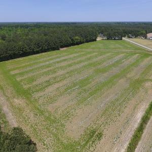 Photo of UNDER CONTRACT!  33 Acres of Hunting and Timber Land For Sale in Wilson County NC!