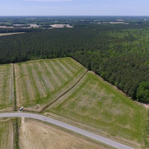 Photo of UNDER CONTRACT!  33 Acres of Hunting and Timber Land For Sale in Wilson County NC!