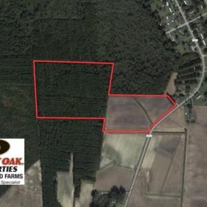 Photo of UNDER CONTRACT!  33 Acres of Hunting and Timber Land For Sale in Wilson County NC!