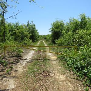 Photo of UNDER CONTRACT!  67.61 Acres of Hunting and Residential Land for Sale in Scotland County NC!