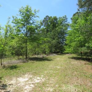 Photo of UNDER CONTRACT!  67.61 Acres of Hunting and Residential Land for Sale in Scotland County NC!