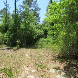 Photo of UNDER CONTRACT!  67.61 Acres of Hunting and Residential Land for Sale in Scotland County NC!
