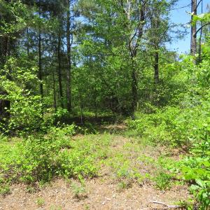Photo of UNDER CONTRACT!  67.61 Acres of Hunting and Residential Land for Sale in Scotland County NC!