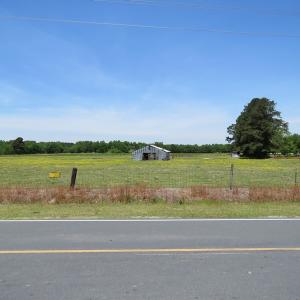 Photo of UNDER CONTRACT!  113 Acres of Farm and Timber Land For Sale in Robeson County NC!