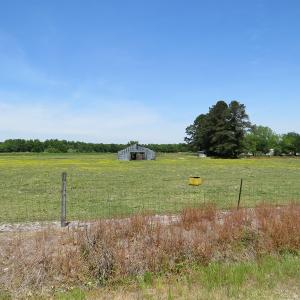 Photo of UNDER CONTRACT!  113 Acres of Farm and Timber Land For Sale in Robeson County NC!