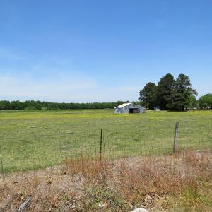 Photo of UNDER CONTRACT!  113 Acres of Farm and Timber Land For Sale in Robeson County NC!