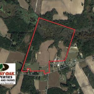 Photo of UNDER CONTRACT!  113 Acres of Farm and Timber Land For Sale in Robeson County NC!