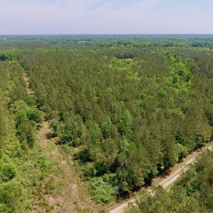 Photo of UNDER CONTRACT!  26.7 Acres of Hunting and Timber Land For Sale in Jones County NC!