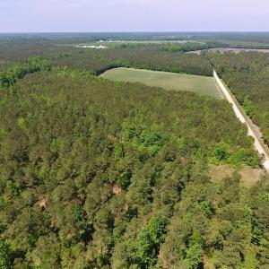 Photo of UNDER CONTRACT!  26.7 Acres of Hunting and Timber Land For Sale in Jones County NC!