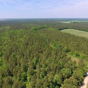 Photo of UNDER CONTRACT!  26.7 Acres of Hunting and Timber Land For Sale in Jones County NC!
