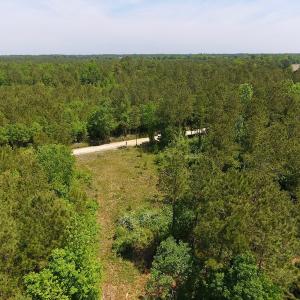 Photo of UNDER CONTRACT!  26.7 Acres of Hunting and Timber Land For Sale in Jones County NC!
