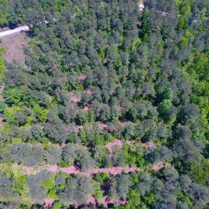 Photo of UNDER CONTRACT!  26.7 Acres of Hunting and Timber Land For Sale in Jones County NC!
