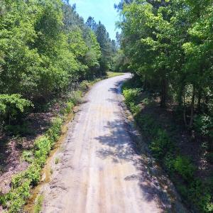 Photo of UNDER CONTRACT!  26.7 Acres of Hunting and Timber Land For Sale in Jones County NC!