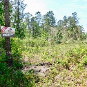 Photo of UNDER CONTRACT!  26.7 Acres of Hunting and Timber Land For Sale in Jones County NC!
