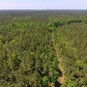 Photo of UNDER CONTRACT!  26.7 Acres of Hunting and Timber Land For Sale in Jones County NC!