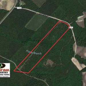 Photo of UNDER CONTRACT!  26.7 Acres of Hunting and Timber Land For Sale in Jones County NC!