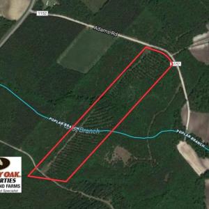 Photo of UNDER CONTRACT!  26.7 Acres of Hunting and Timber Land For Sale in Jones County NC!