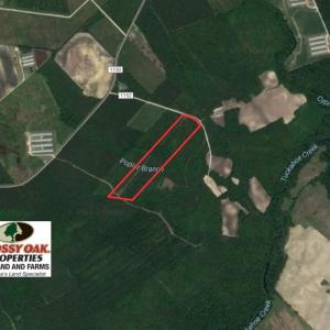 Photo of UNDER CONTRACT!  26.7 Acres of Hunting and Timber Land For Sale in Jones County NC!
