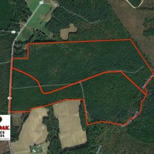 Photo of UNDER CONTRACT!  196 Acres of Hunting Land for Sale in Sussex County VA!