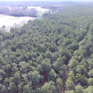 Photo of UNDER CONTRACT!  196 Acres of Hunting Land for Sale in Sussex County VA!