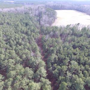 Photo of UNDER CONTRACT!  196 Acres of Hunting Land for Sale in Sussex County VA!