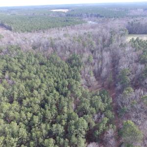 Photo of UNDER CONTRACT!  196 Acres of Hunting Land for Sale in Sussex County VA!