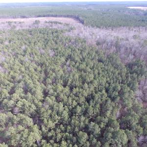 Photo of UNDER CONTRACT!  196 Acres of Hunting Land for Sale in Sussex County VA!