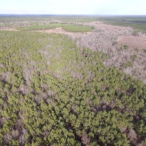 Photo of UNDER CONTRACT!  196 Acres of Hunting Land for Sale in Sussex County VA!