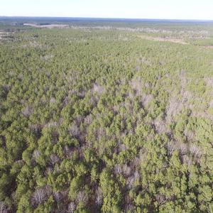 Photo of UNDER CONTRACT!  196 Acres of Hunting Land for Sale in Sussex County VA!