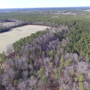 Photo of UNDER CONTRACT!  196 Acres of Hunting Land for Sale in Sussex County VA!