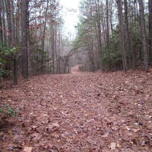 Photo of UNDER CONTRACT!  196 Acres of Hunting Land for Sale in Sussex County VA!