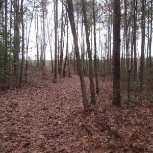 Photo of UNDER CONTRACT!  196 Acres of Hunting Land for Sale in Sussex County VA!