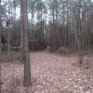 Photo of UNDER CONTRACT!  196 Acres of Hunting Land for Sale in Sussex County VA!