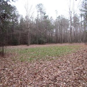 Photo of UNDER CONTRACT!  196 Acres of Hunting Land for Sale in Sussex County VA!