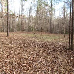 Photo of UNDER CONTRACT!  196 Acres of Hunting Land for Sale in Sussex County VA!