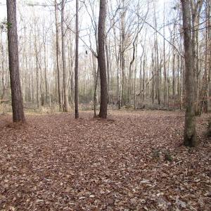 Photo of UNDER CONTRACT!  196 Acres of Hunting Land for Sale in Sussex County VA!
