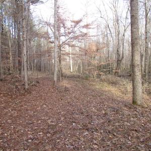 Photo of UNDER CONTRACT!  196 Acres of Hunting Land for Sale in Sussex County VA!