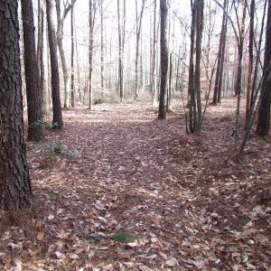 Photo of UNDER CONTRACT!  196 Acres of Hunting Land for Sale in Sussex County VA!
