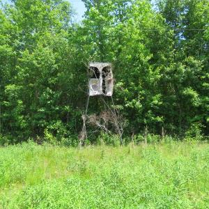 Photo of UNDER CONTRACT!  26 Acres of Farm and Timber Land with Home Site For Sale in Bladen County NC!