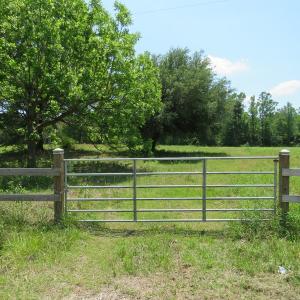 Photo of UNDER CONTRACT!  26 Acres of Farm and Timber Land with Home Site For Sale in Bladen County NC!