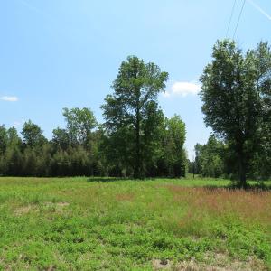 Photo of UNDER CONTRACT!  26 Acres of Farm and Timber Land with Home Site For Sale in Bladen County NC!