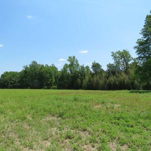 Photo of UNDER CONTRACT!  26 Acres of Farm and Timber Land with Home Site For Sale in Bladen County NC!
