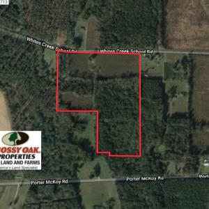 Photo of UNDER CONTRACT!  26 Acres of Farm and Timber Land with Home Site For Sale in Bladen County NC!